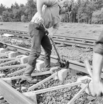 859263 Afbeelding van een wegwerker van de N.S. tijdens het leggen van spoor met zig-zag dwarsliggers.